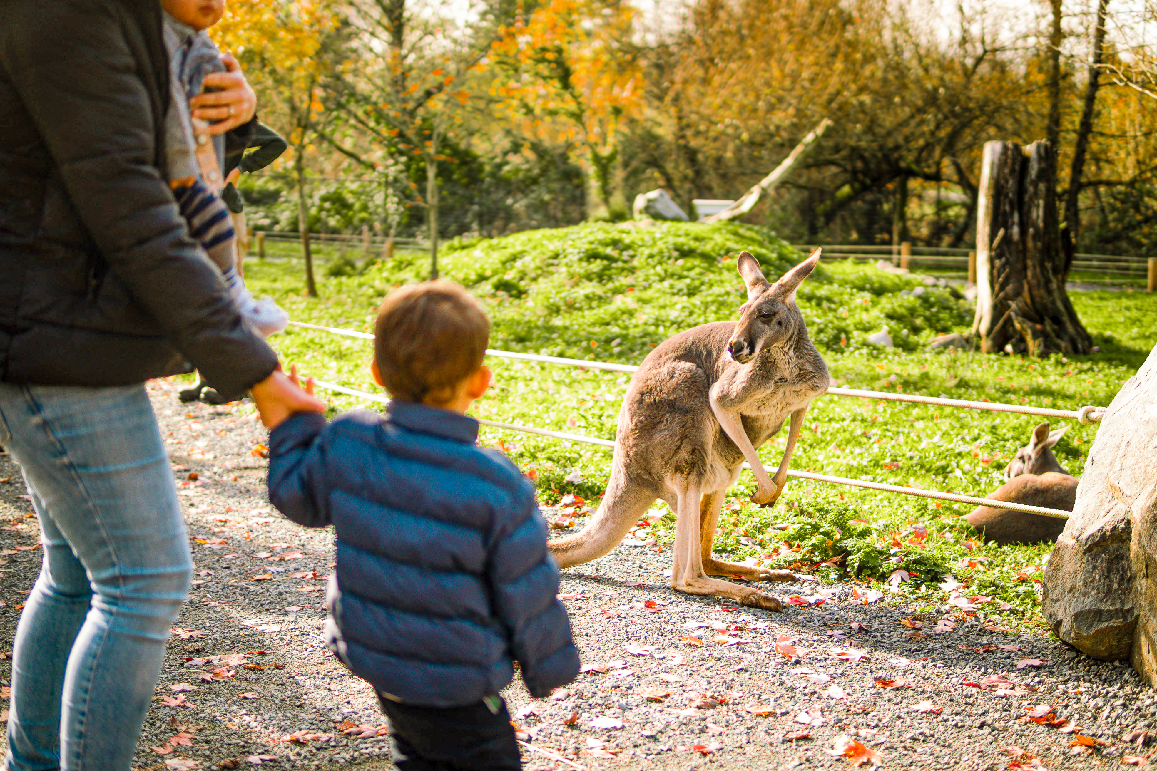 Sightseeing, Nature and Wildlife