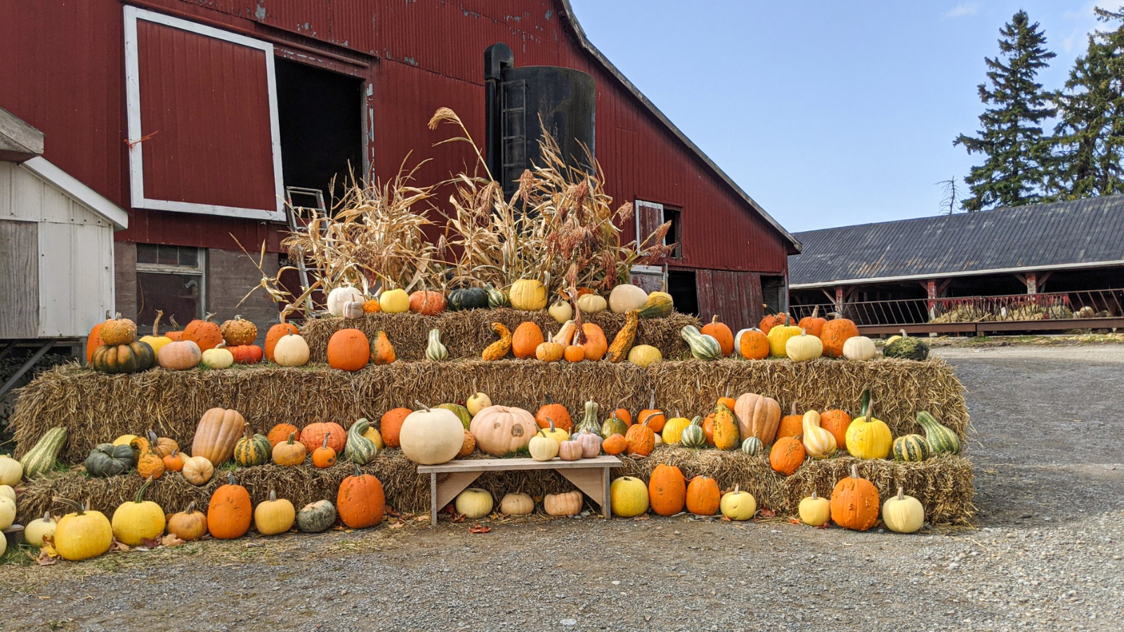 Markets, Orchards & Autumn Finds