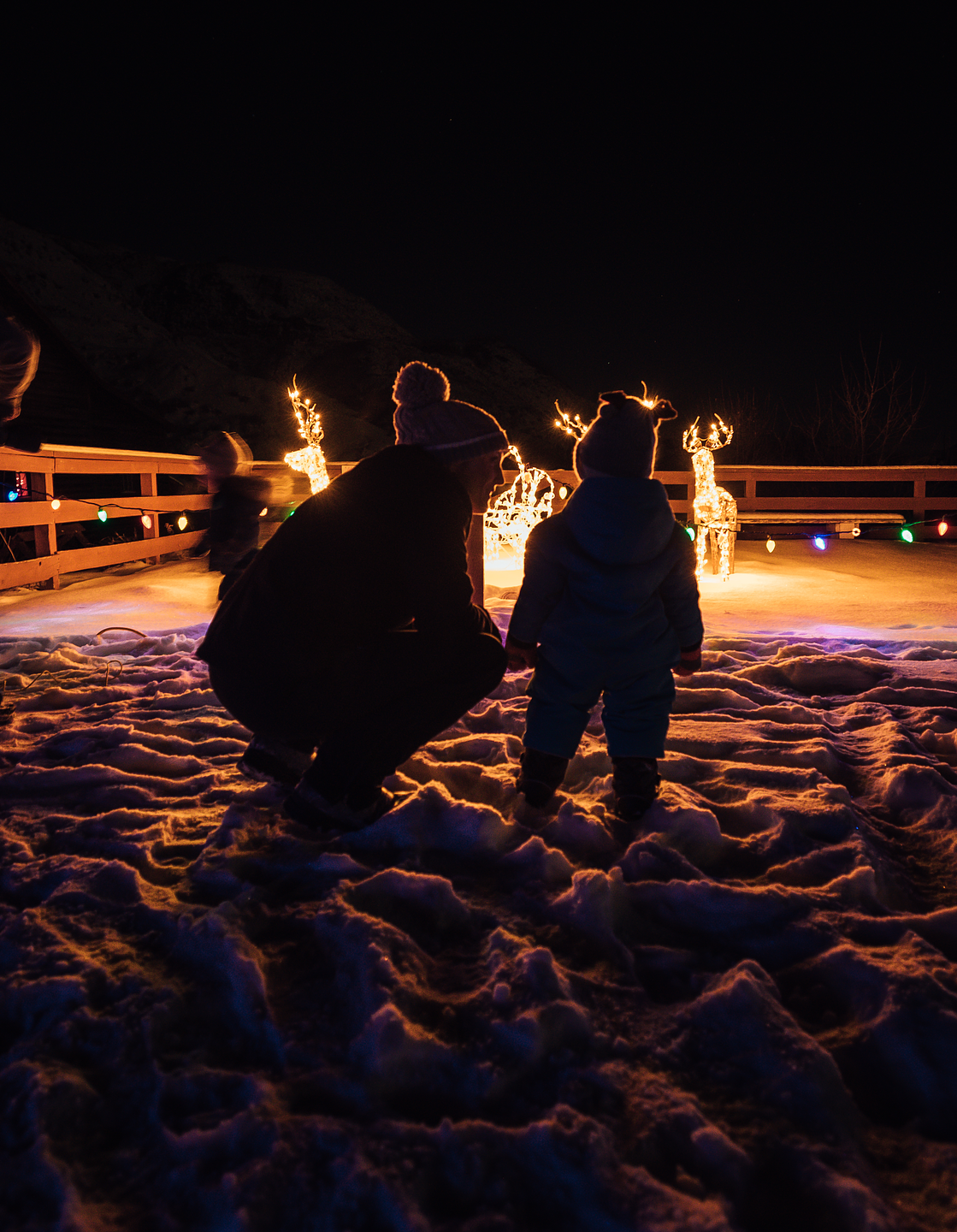 Christmas in the Coulee