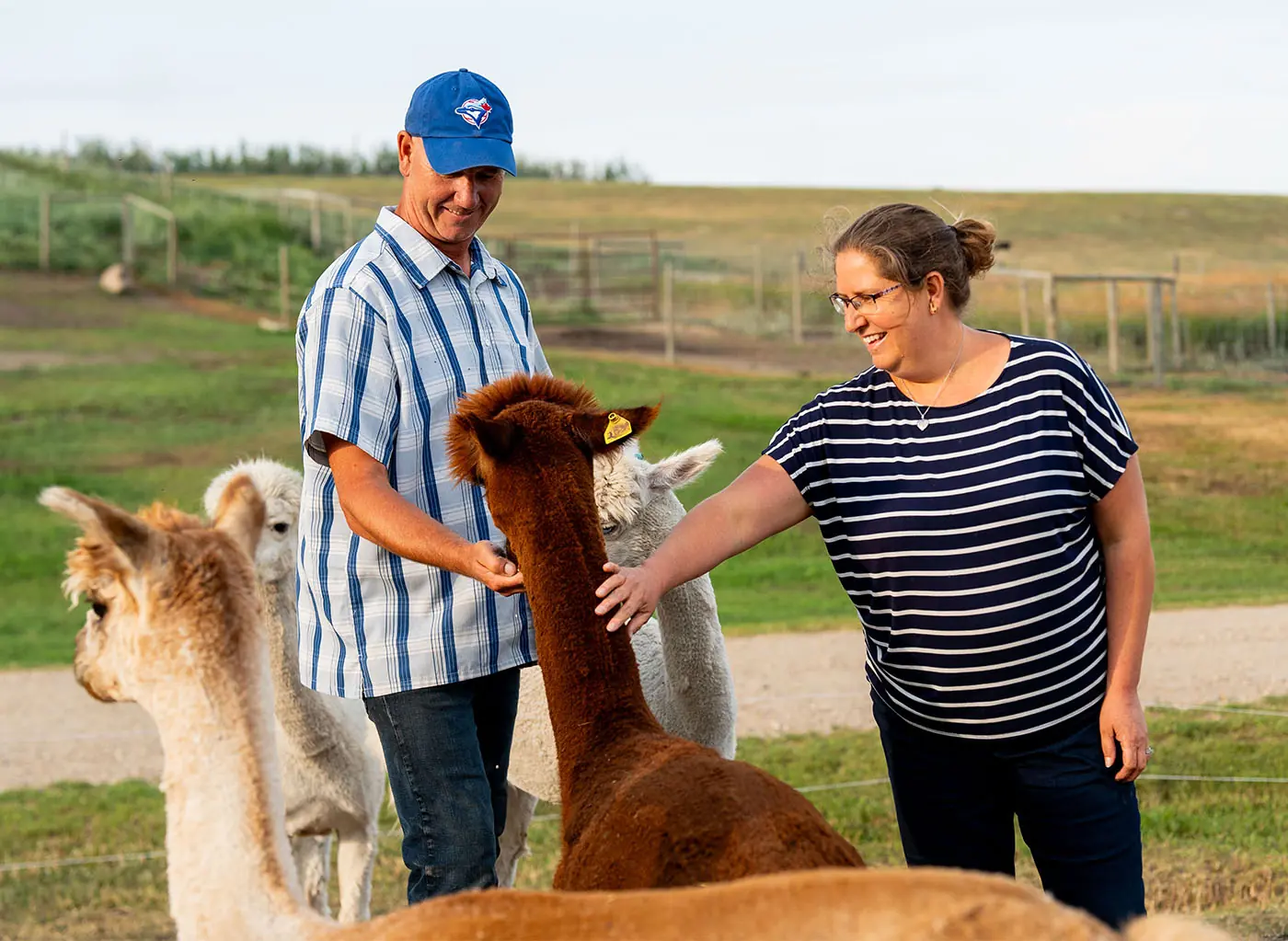 Kirks Alpaca Farm