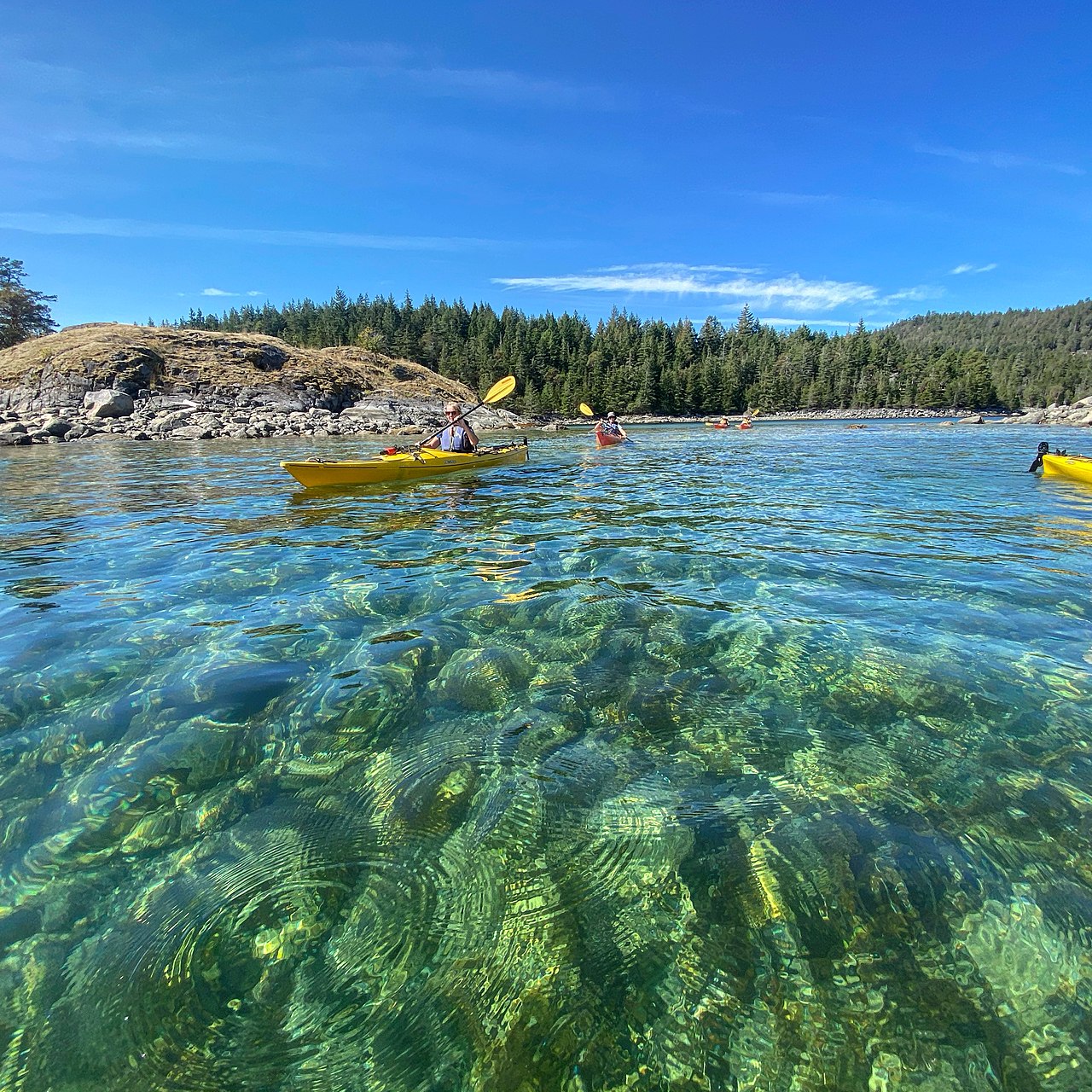 Cortes Bay