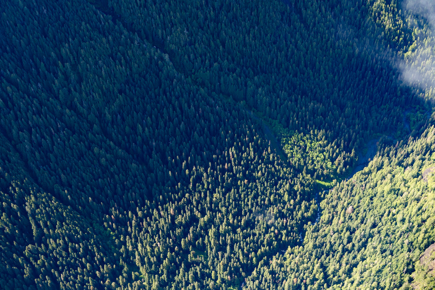 PREVENT & REPORT WILDFIRES