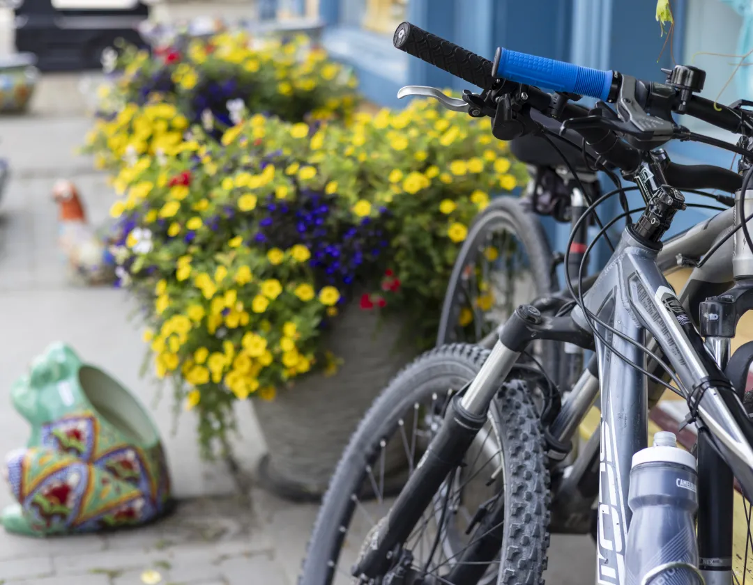 Discover Bike-Friendly Spots