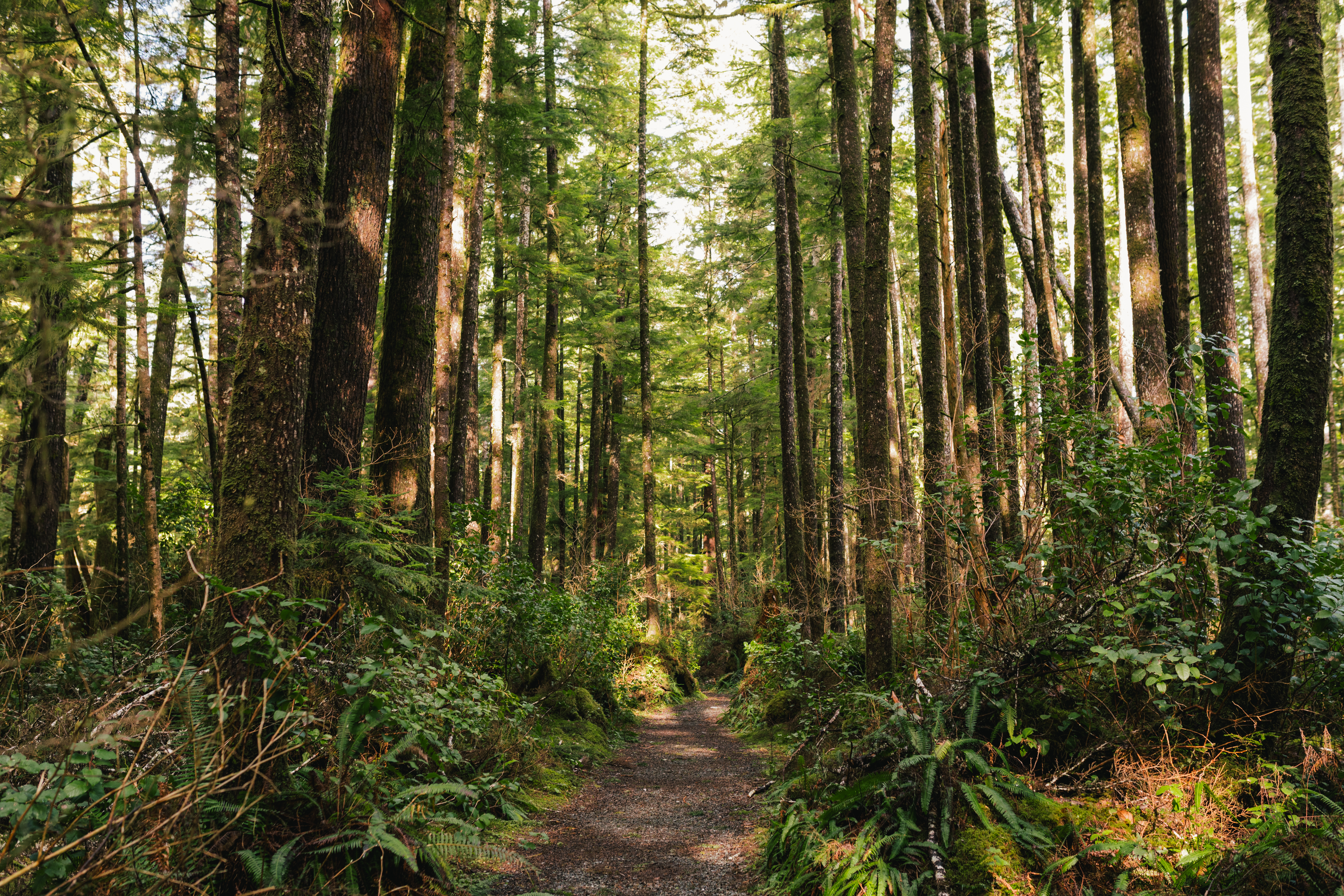 3. STAY ON THE TRAIL. SLEEP ON HARD SURFACES.