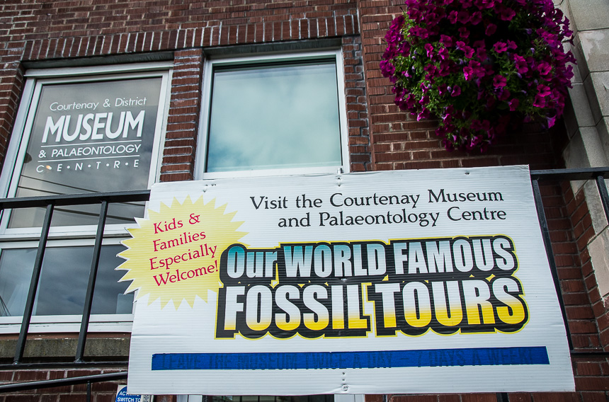 We pass the Courtenay & District Museum and Paleontology Centre – world famous for their fossil tours